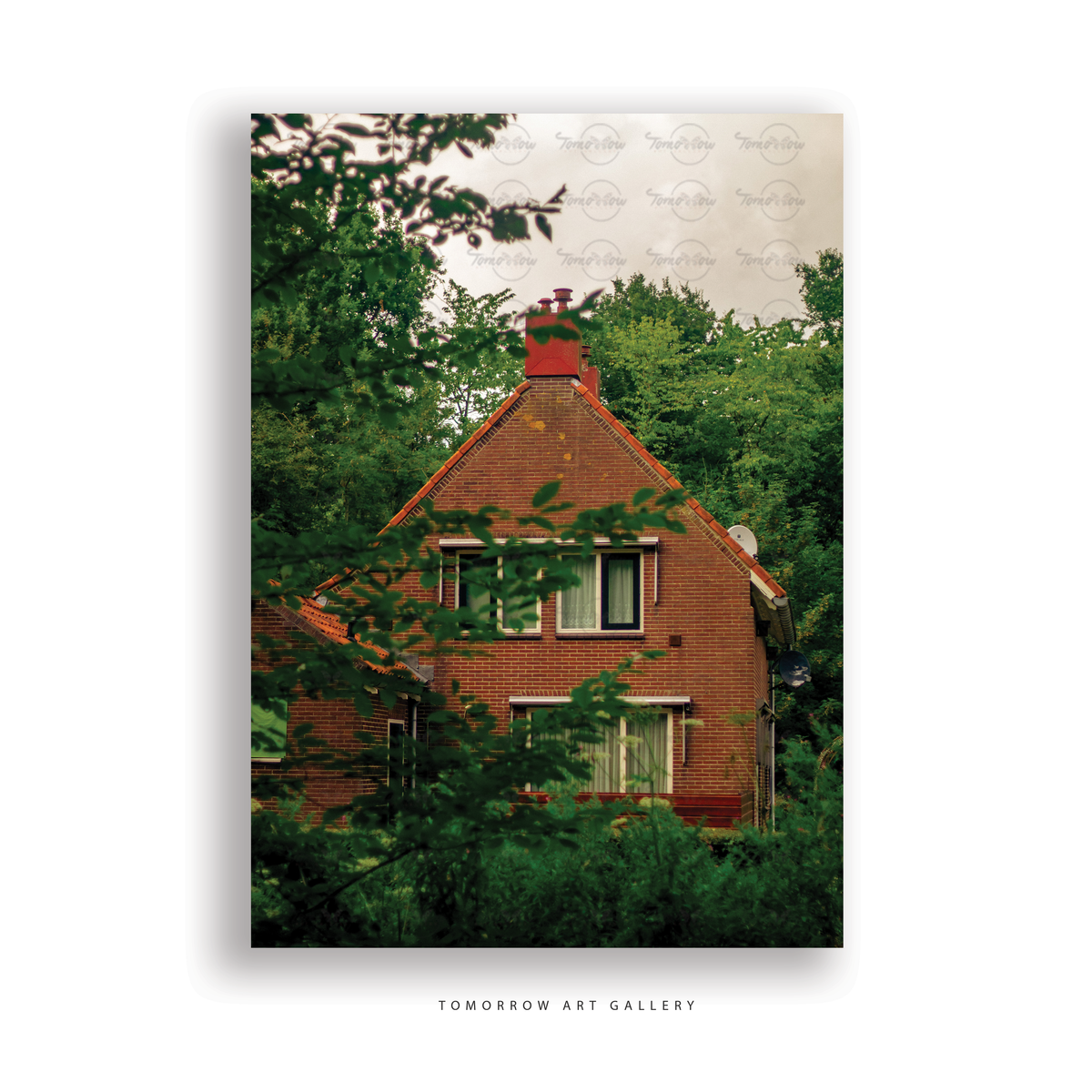 Home among the trees