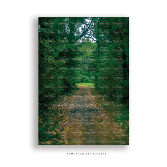 Green Forest Path