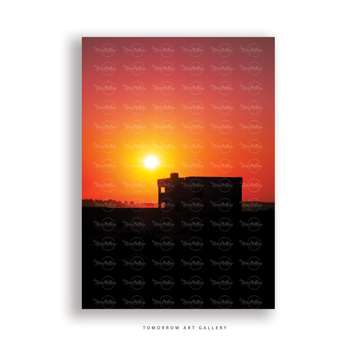 ORANGE SUNSET