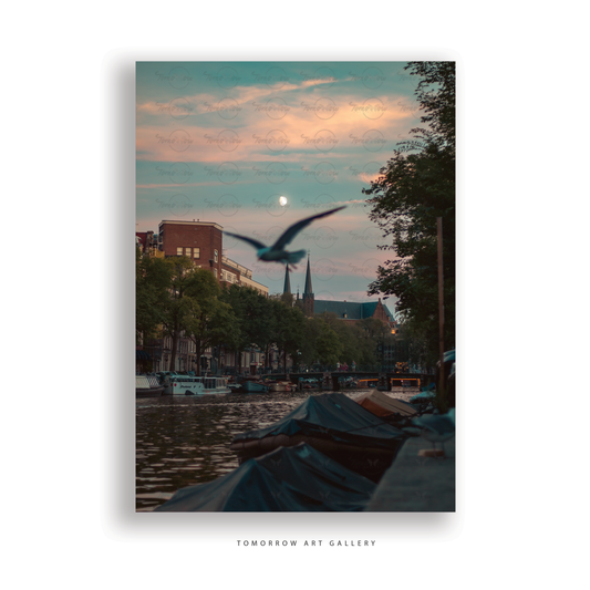 Amsterdam Sky
