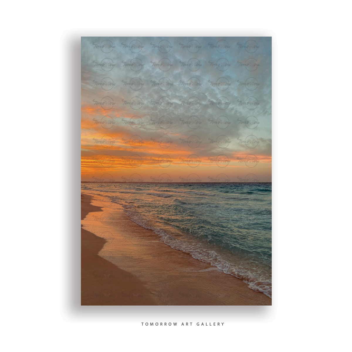 Chaising Sunset