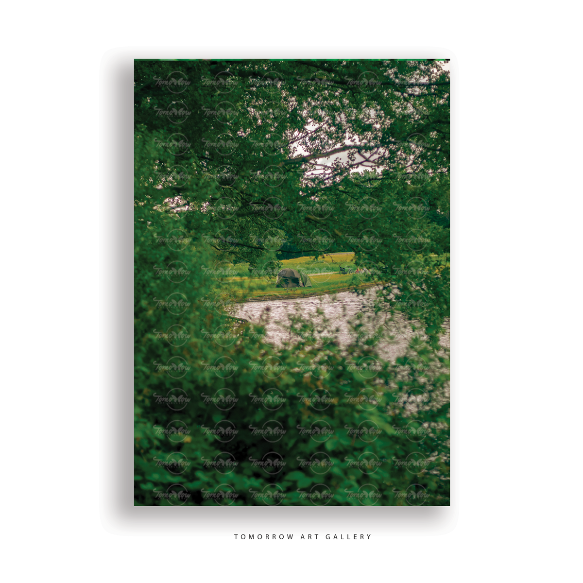 Tent Among the Trees