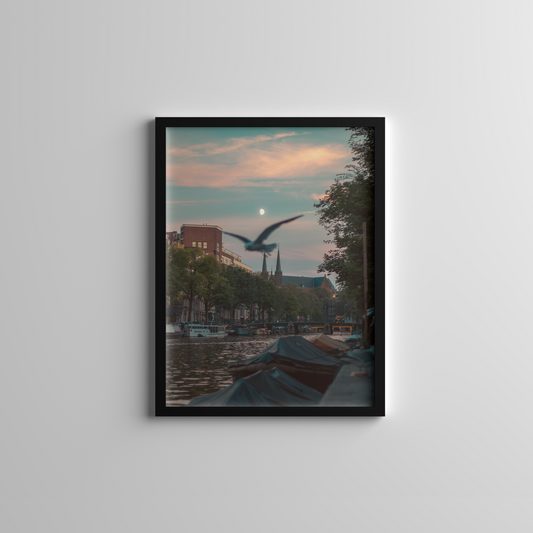 Amsterdam Sky