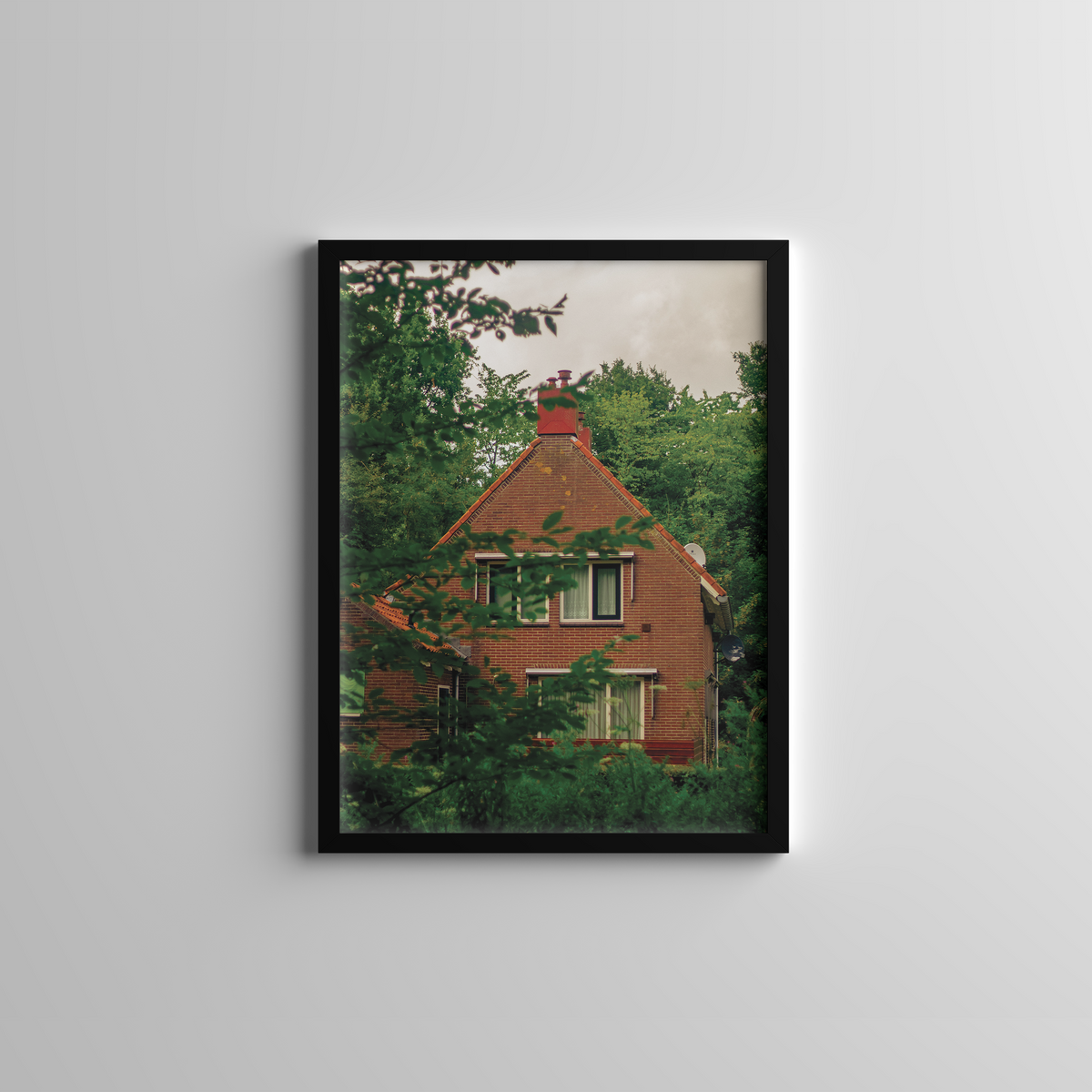 Home among the trees