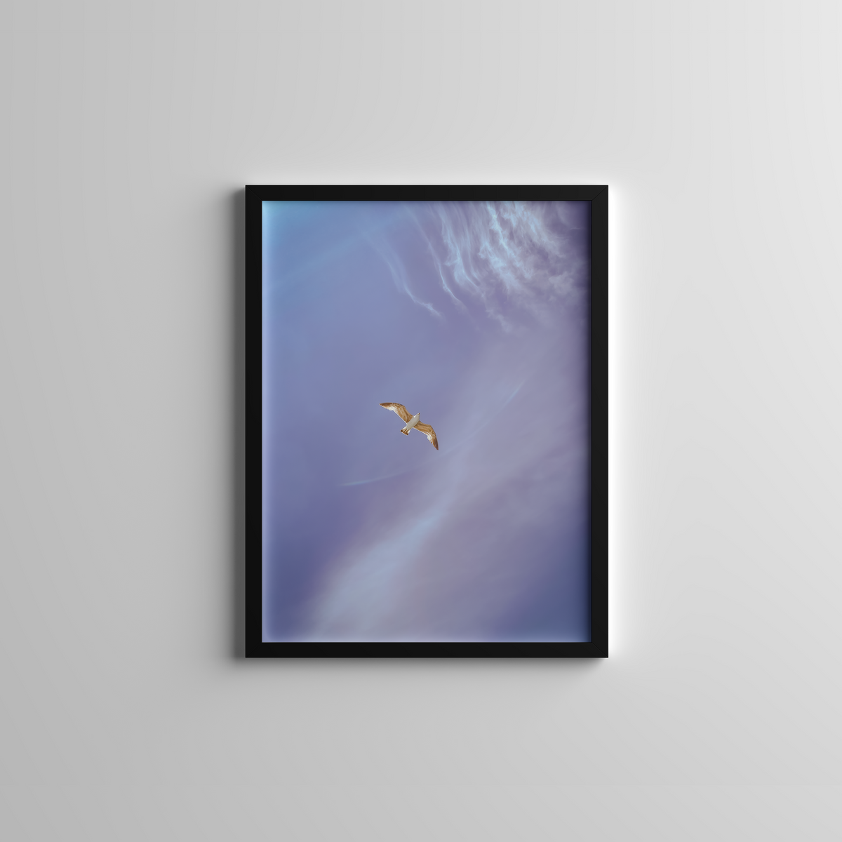 Seagull