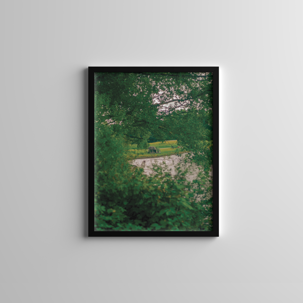Tent Among the Trees