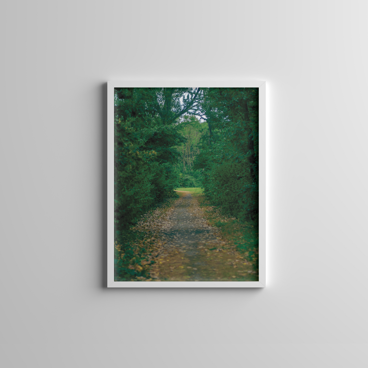 Green Forest Path