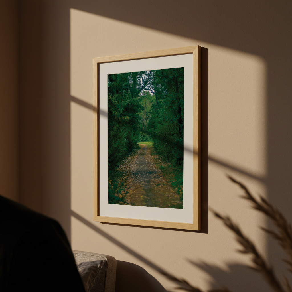 Green Forest Path